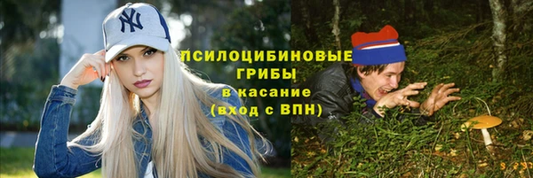амф Абаза