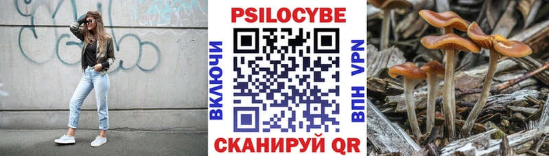МЕГА как зайти  Вологда  Галлюциногенные грибы GOLDEN TEACHER 