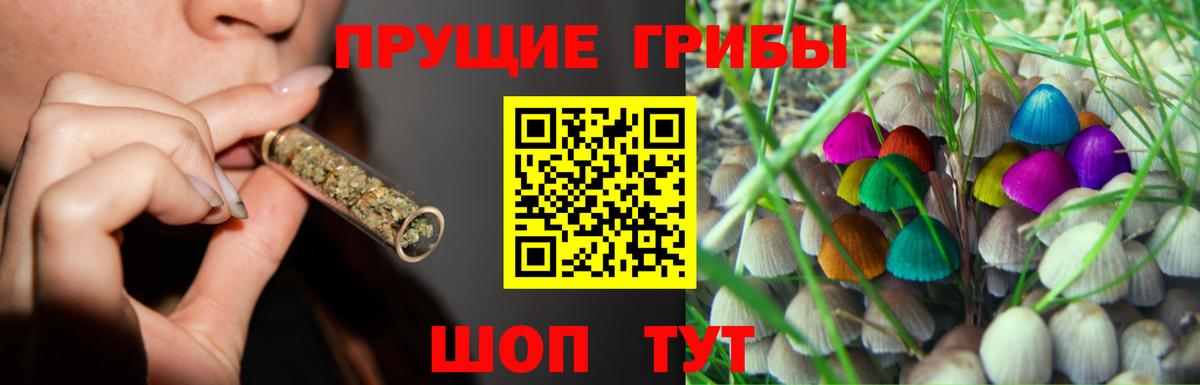 Галлюциногенные грибы GOLDEN TEACHER Вологда